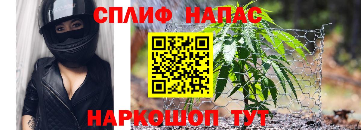 Киселёвск  Конопля план  Вход с VPN  Бошки марихуана семена  Марихуана Ganja 